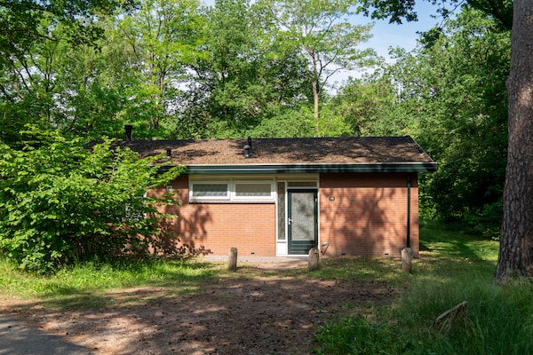 Foto van Bosretraite met open haard - Vakantiehuis in Putten - ExteriorSummer