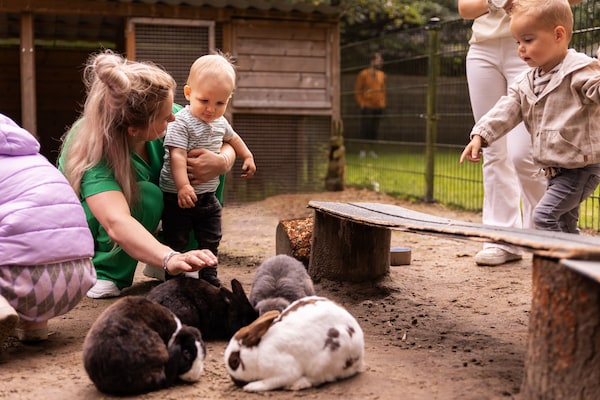 Foto van Bosretraite met open haard - Vakantiehuis in Putten - ParkFacilities