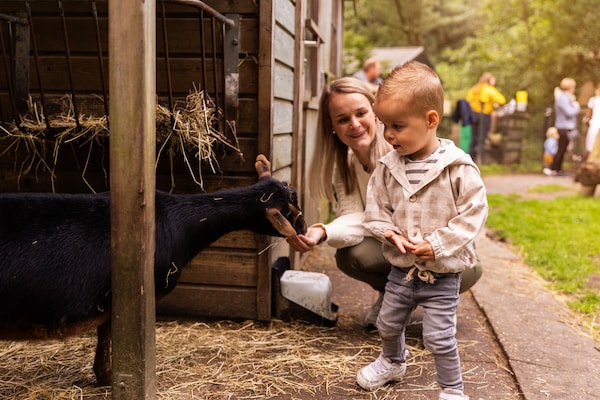 Foto van Bosretraite met open haard - Vakantiehuis in Putten - ParkFacilities