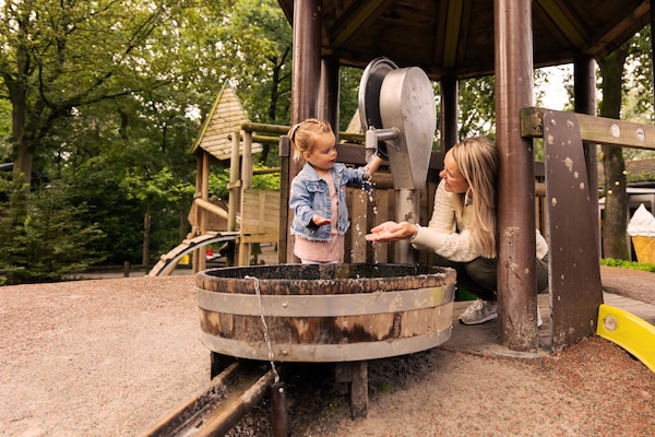 Foto van Bosretraite met open haard - Vakantiehuis in Putten - ParkFacilities