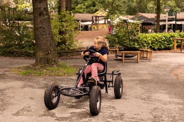 Foto van Bosretraite met open haard - Vakantiehuis in Putten - ParkFacilities