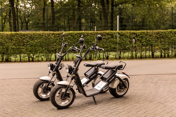 Foto van Bosretraite met open haard - Vakantiehuis in Putten - ParkFacilities