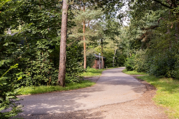 Foto van Bosretraite met open haard - Vakantiehuis in Putten - AreaSummer1KM