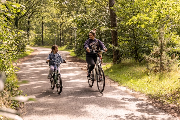 Foto van Bosretraite met open haard - Vakantiehuis in Putten - AreaSummer1KM