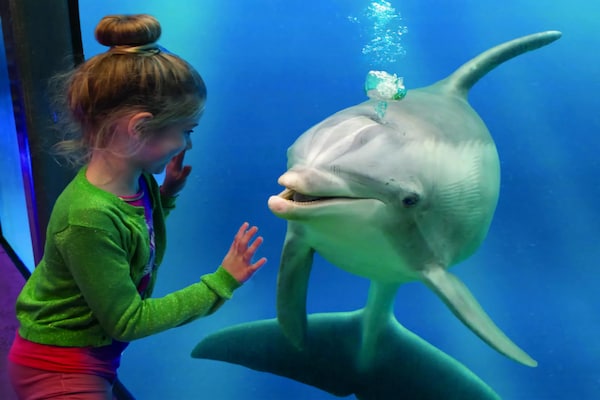 Foto van Bungalow bij Breskens strand en vuurtoren - Vakantiehuis in Breskens - AreaSummer20KM