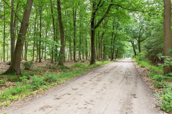 Foto van Rustig plattelandshuis in Goirle - Vakantiehuis in Goirle - AreaSummer20KM
