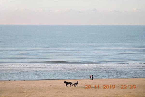 Foto van Gastvrij strandverblijf - Vakantiehuis in Egmond aan zee - AreaSummer20KM