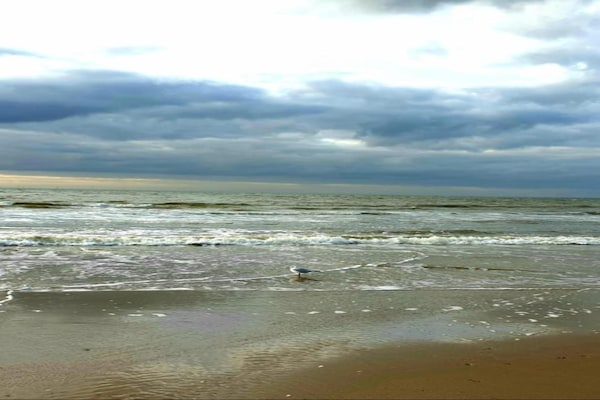 Foto van Gastvrij strandverblijf - Vakantiehuis in Egmond aan zee - AreaSummer20KM