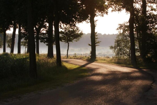 Foto van Chalet in Eindhoven bij Bospark 't Wolfsven - Vakantiehuis in Mierlo - AreaSummer5KM