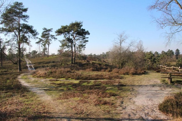 Foto van Luxe Lodge met Strandzicht - Vakantiehuis in Well - AreaSummer20KM
