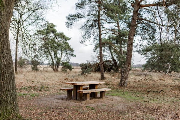 Foto van Huisje in Leenderbos bij natuurgebied - Vakantiehuis in Leende - AreaSummer20KM