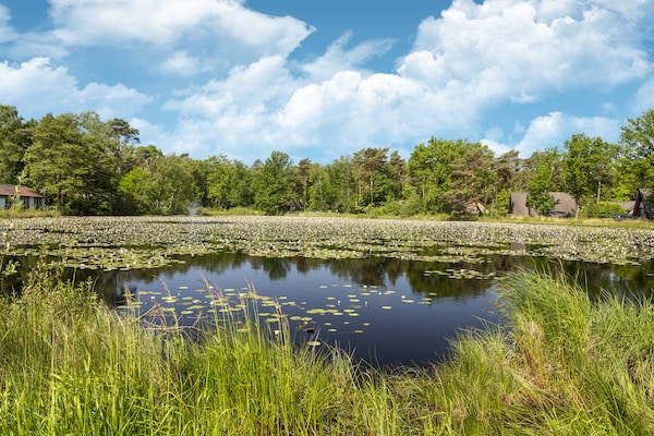 Foto van Bungalow in Limburg bij natuurgebieden - Vakantiehuis in Stramproy - AreaSummer1KM