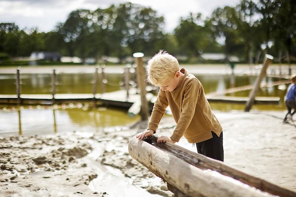 Foto van Boerderij in Limburg met Zwembad - Vakantiehuis in Roggel - ParkFacilities