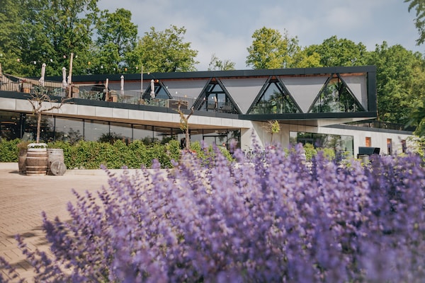 Foto van Leuke heuvellodge in Gulpen met geweldig uitzicht - Vakantiehuis in Gulpen - ParkFacilities