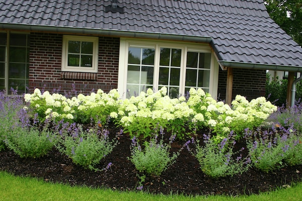 Foto van Spa Villa bij het Sallandse Bos - Vakantiehuis in Hellendoorn - GardenSummer