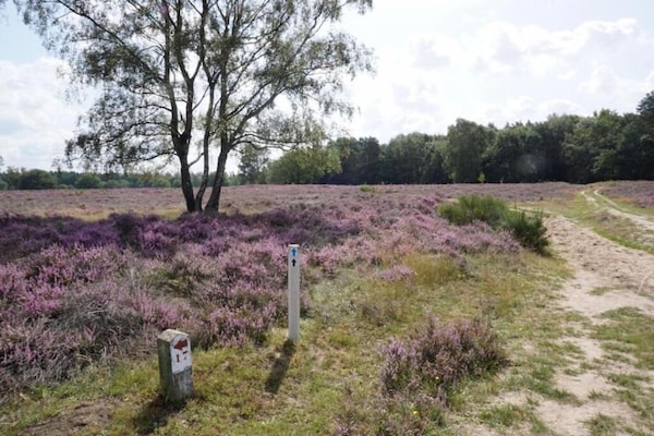 Foto van Spa Villa bij het Sallandse Bos - Vakantiehuis in Hellendoorn - AreaSummer5KM