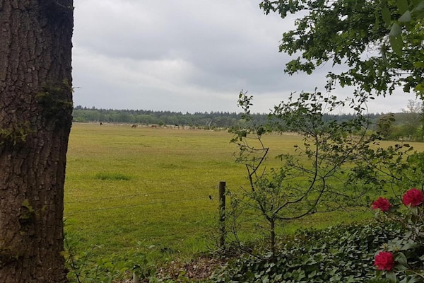 Foto van Spa Villa bij het Sallandse Bos - Vakantiehuis in Hellendoorn - AreaSummer5KM