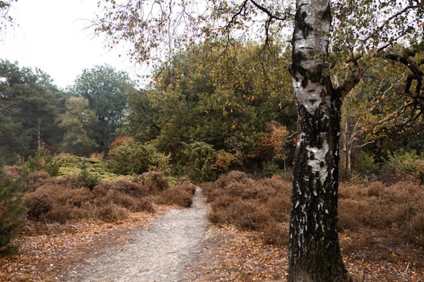 Foto van Spa Villa bij het Sallandse Bos - Vakantiehuis in Hellendoorn - AreaSummer5KM