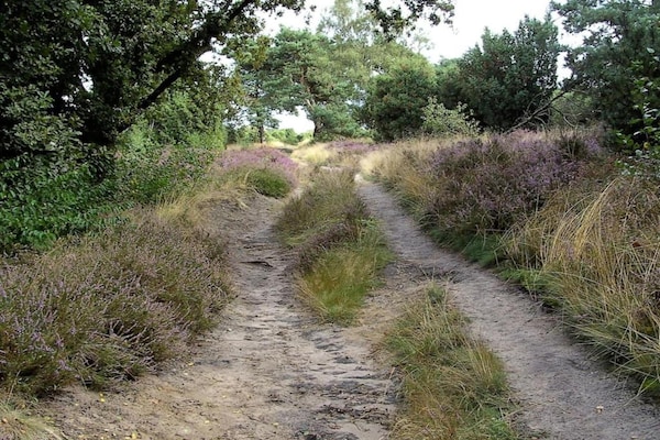 Foto van Wellnessvilla in rustige natuur - Vakantiehuis in Hellendoorn - AreaSummer5KM