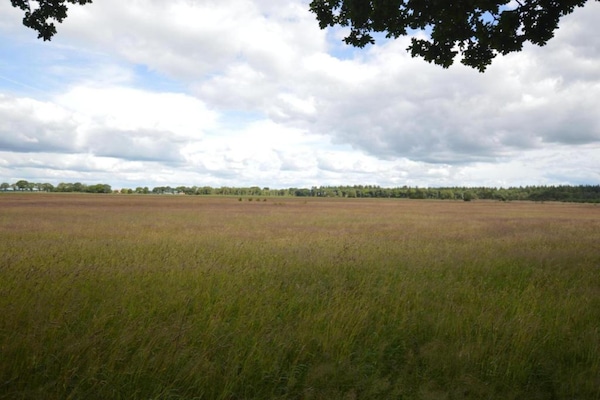 Foto van Gezellig groepsverblijf met open haard - Vakantiehuis in Hellendoorn - AreaSummer5KM