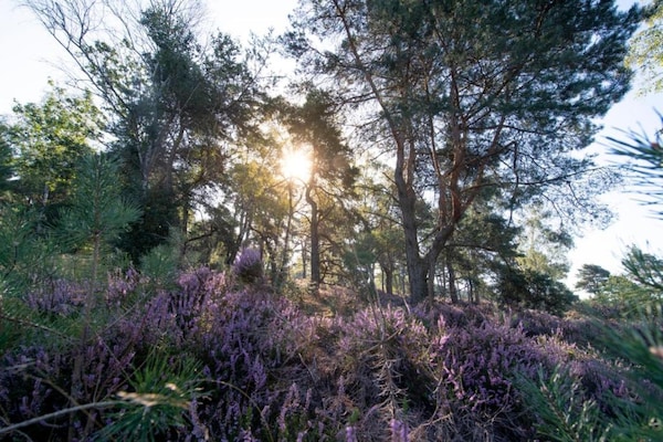 Foto van Moderne bungalow met tuin in Twente - Vakantiehuis in Rijssen - AreaSummer5KM