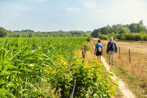 Foto van Bungalow met kinderdagverblijf en speeltuin - Vakantiehuis in Zuna - AreaSummer5KM