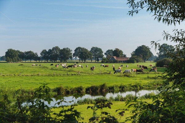 Foto van Bungalow met kinderdagverblijf en speeltuin - Vakantiehuis in Zuna - AreaSummer5KM
