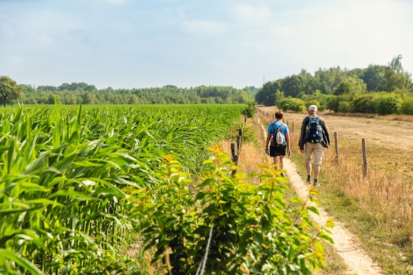 Foto van Glamping Tent in Nederland met Pop-Up Sfeer - Vakantiehuis in Zuna - AreaSummer1KM