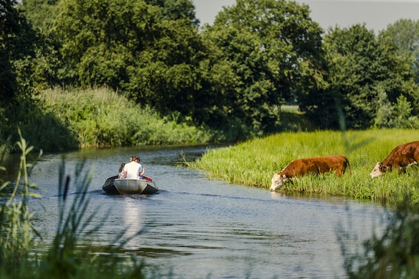Foto van Glamping Tent in Nederland met Pop-Up Sfeer - Vakantiehuis in Zuna - AreaSummer1KM