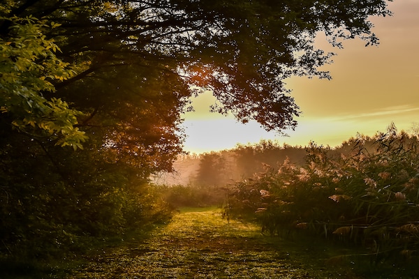 Foto van Glamping Tent in Nederland met Pop-Up Sfeer - Vakantiehuis in Zuna - AreaSummer1KM