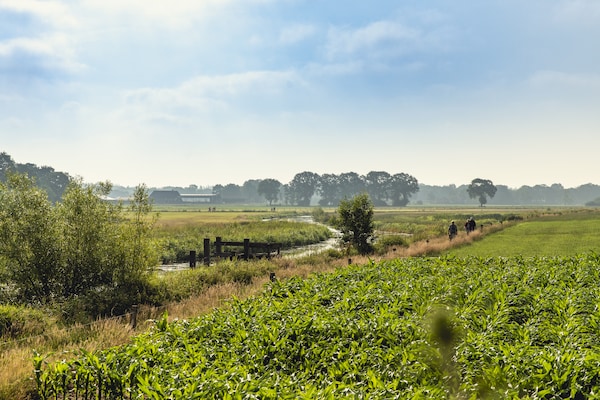 Foto van Glamping Tent in Nederland met Pop-Up Sfeer - Vakantiehuis in Zuna - AreaSummer1KM