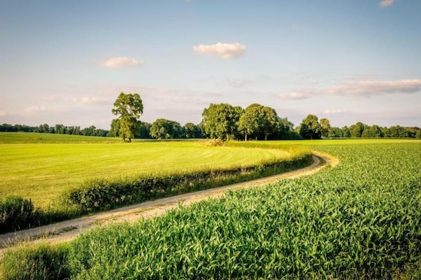 Foto van Glamping Tent in Nederland met Pop-Up Sfeer - Vakantiehuis in Zuna - AreaSummer20KM
