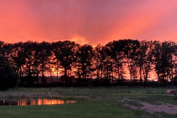 Foto van Modern boschalet - Vakantiehuis in Enter - AreaSummer20KM