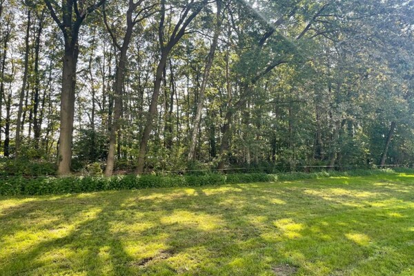 Foto van Modern boschalet - Vakantiehuis in Enter - AreaSummer20KM