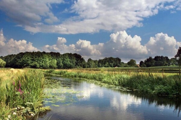 Foto van Modern boschalet - Vakantiehuis in Enter - AreaSummer20KM