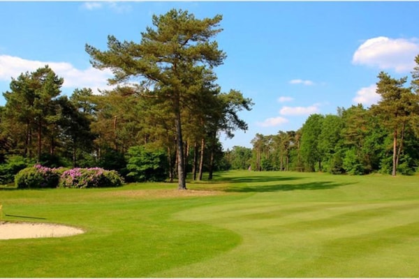 Foto van Vakantiehuis in Arriën bij Beerze - Vakantiehuis in Ommen - AreaSummer20KM