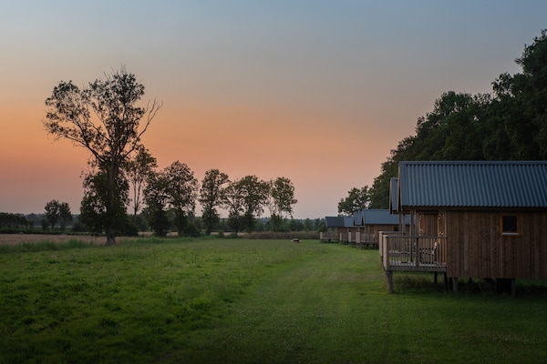 Foto van Lodge aan de Weiden met Mooie Veranda - Vakantiehuis in Ruinerwold - ExteriorSummer