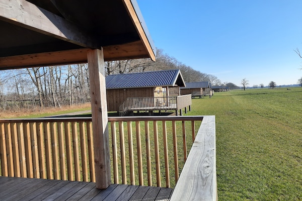 Foto van Lodge aan de Weiden met Mooie Veranda - Vakantiehuis in Ruinerwold - ExteriorSummer