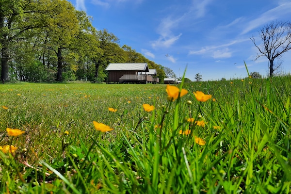 Foto van Lodge aan de Weiden met Mooie Veranda - Vakantiehuis in Ruinerwold - ExteriorSummer