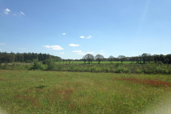 Foto van Lodge aan de Weiden met Mooie Veranda - Vakantiehuis in Ruinerwold - AreaSummer20KM