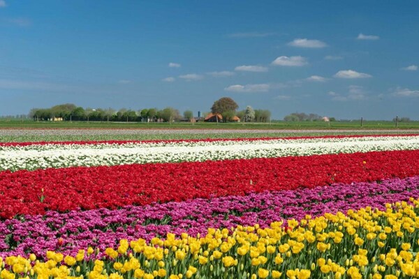 Foto van Groepsverblijf bij Eigen Wijze Speelveld - Vakantiehuis in Bant - AreaSummer20KM