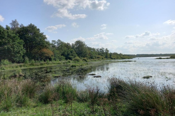 Foto van Boerderij in Fochteloo bij Nationaal Park - Vakantiehuis in Fochteloo - AreaSummer20KM