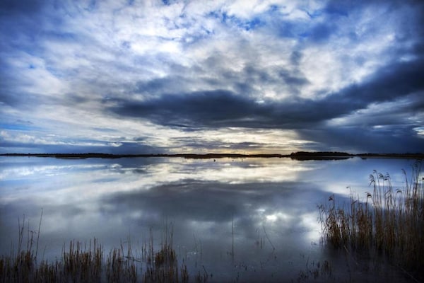 Foto van Tiny House in Anjum bij het Meer - Vakantiehuis in Anjum - AreaSummer5KM