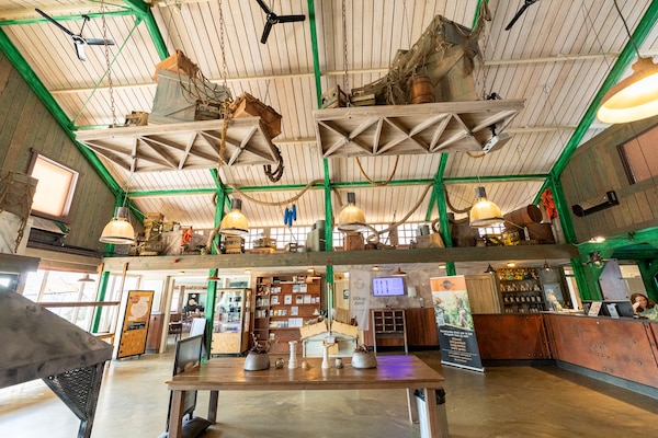 Foto van Nieuwe bungalow met terras - Vakantiehuis in Hollum - ParkFacilities