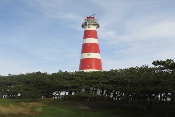 Foto van Vakantiehuis Ameland bij Noordzeestrand - Vakantiehuis in Nes Ameland - AreaSummer5KM