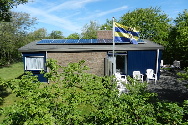 Foto van Vakantiehuis Ameland bij Noordzeestrand - Vakantiehuis in Nes Ameland - ExteriorSummer