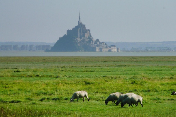 Foto van Landhuis in Normandië bij D-Day stranden - Vakantiehuis in Brucheville - AreaSummer5KM