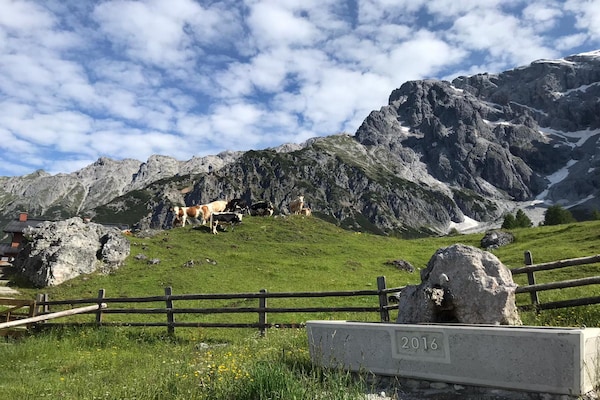 Foto van Chalet in Dienten met Ski-In & Zwembad - Vakantiehuis in Dienten am Hochkönig - AreaSummer5KM