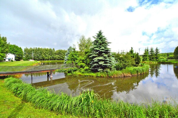 Foto van Vakantiehuis bij Kołobrzeg met Privévijver - Vakantiehuis in Niezyn - GardenSummer