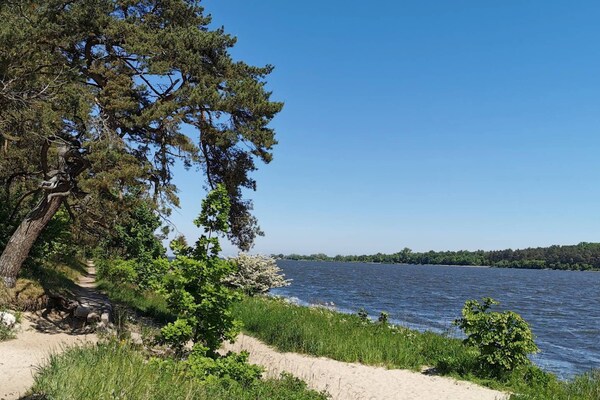 Foto van Comfortabel vakantiehuis, met een grote tuin. - Vakantiehuis in Swibno - AreaSummer1KM